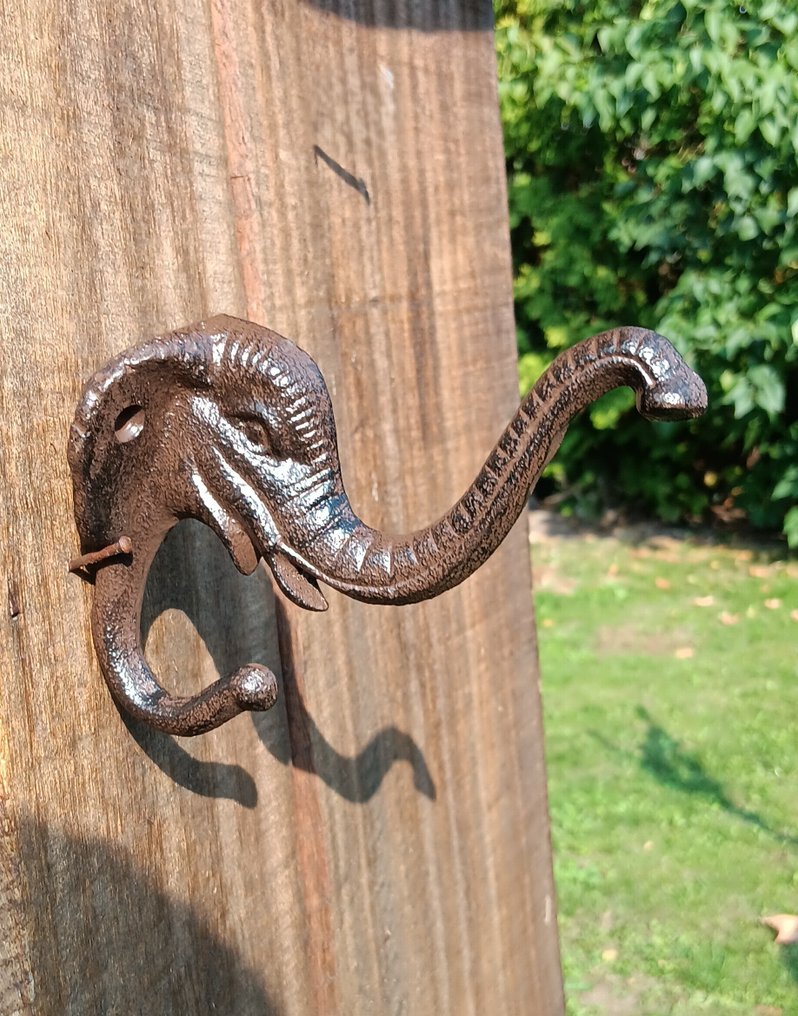 Set of coat hooks (6) - robust elephant hooks - Cast iron #1.0