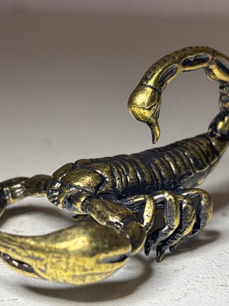 塑像, Schorpioen - 30 mm - 黄铜 #2.1