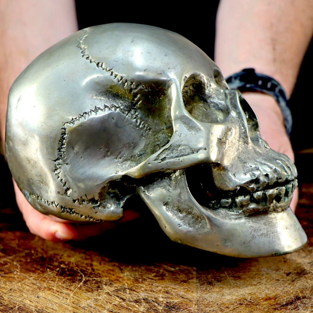 铜制人类头骨 - 逼真雕塑 - 標本全身支架 - Memento Mori - 200 mm - 120 mm - 120 mm #1.0