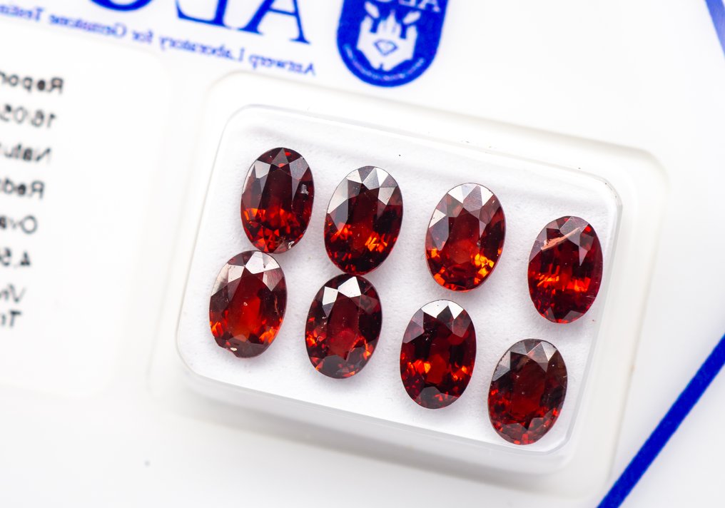 Sans Prix de Réserve - 8 pcs Spinelle - 4.50 ct - Antwerp Laboratory for Gemstone Testing (ALGT) - Orange rougeâtre vif/profond #2.1