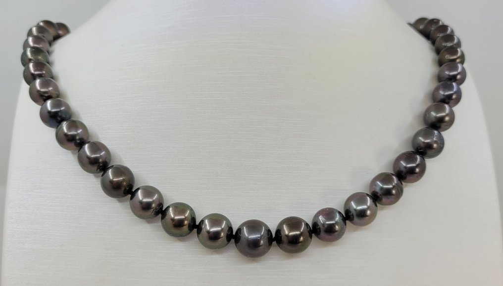 Colar Pérolas Tahitianas Certificadas PSL - 8,0x10,6mm, Prata #1.0