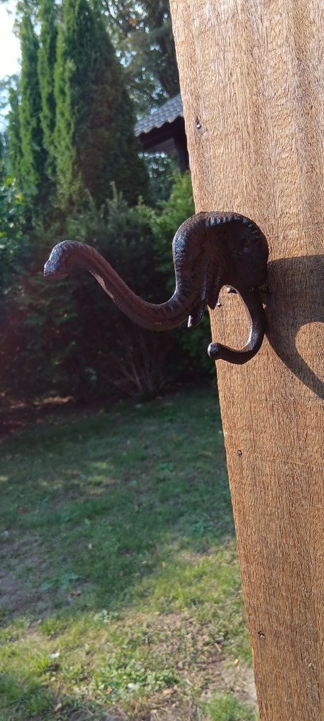 Set of coat hooks (6) - robust elephant hooks - Cast iron #3.2