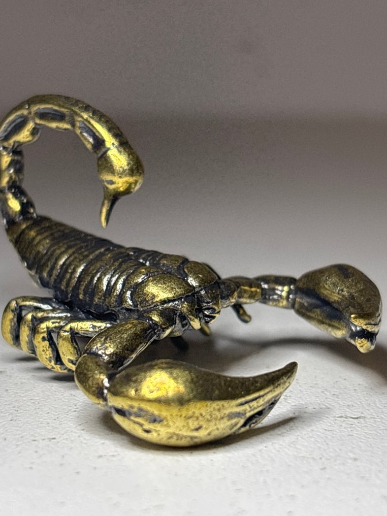 塑像, Schorpioen - 30 mm - 黄铜 #1.0