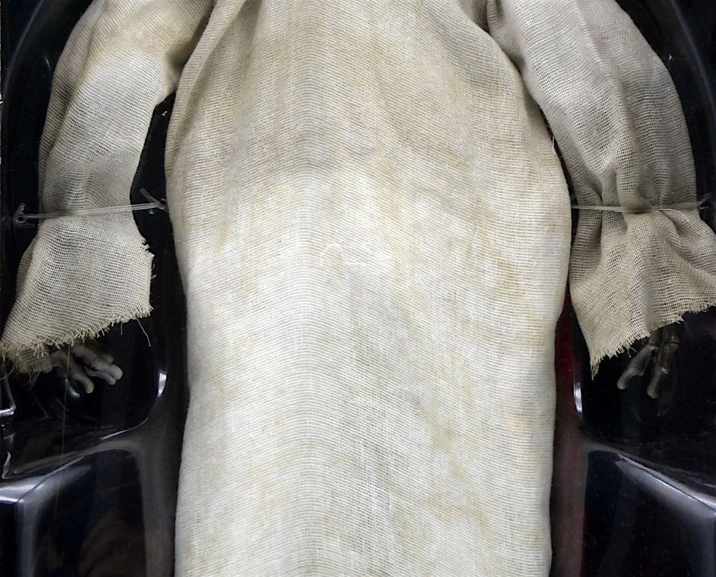 MEZCO Toys - The Most Fun you'll Ever Have Being Scared "CREEEPSHOW" - Sealed Box, OUT OF STOCK - Action figure MDS Roto Plush XXL Action Figure (45 cm) #2.1