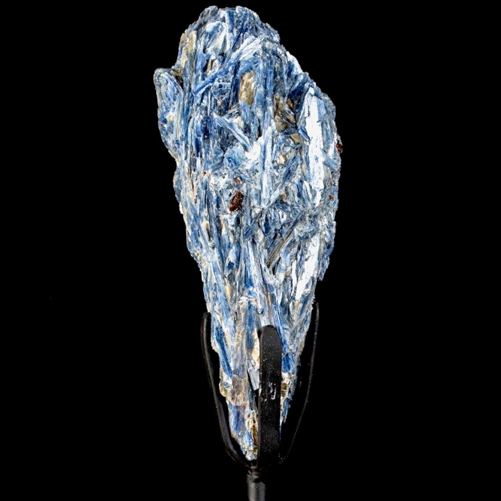 Extraordinary Kyanite Formation - Blu Cianite on Iron Pedestal - Unique Mineral Specimen - Height: 388 mm - Width: 108 mm- 3251 g #3.2