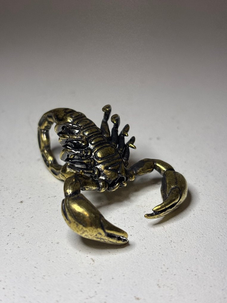 塑像, Schorpioen - 30 mm - 黄铜 #4.3