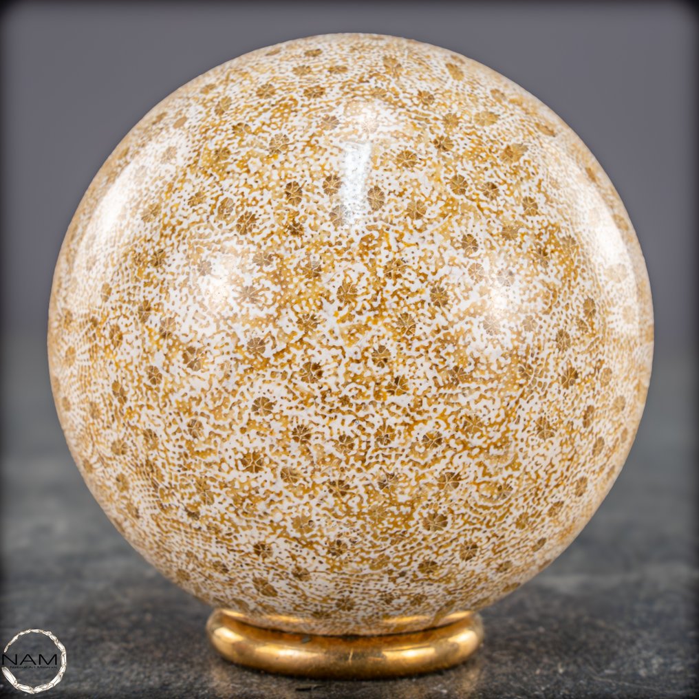 Extremely Rare Natural  Fossil Coral Sphere, Austalia- 294.66 g #1.0