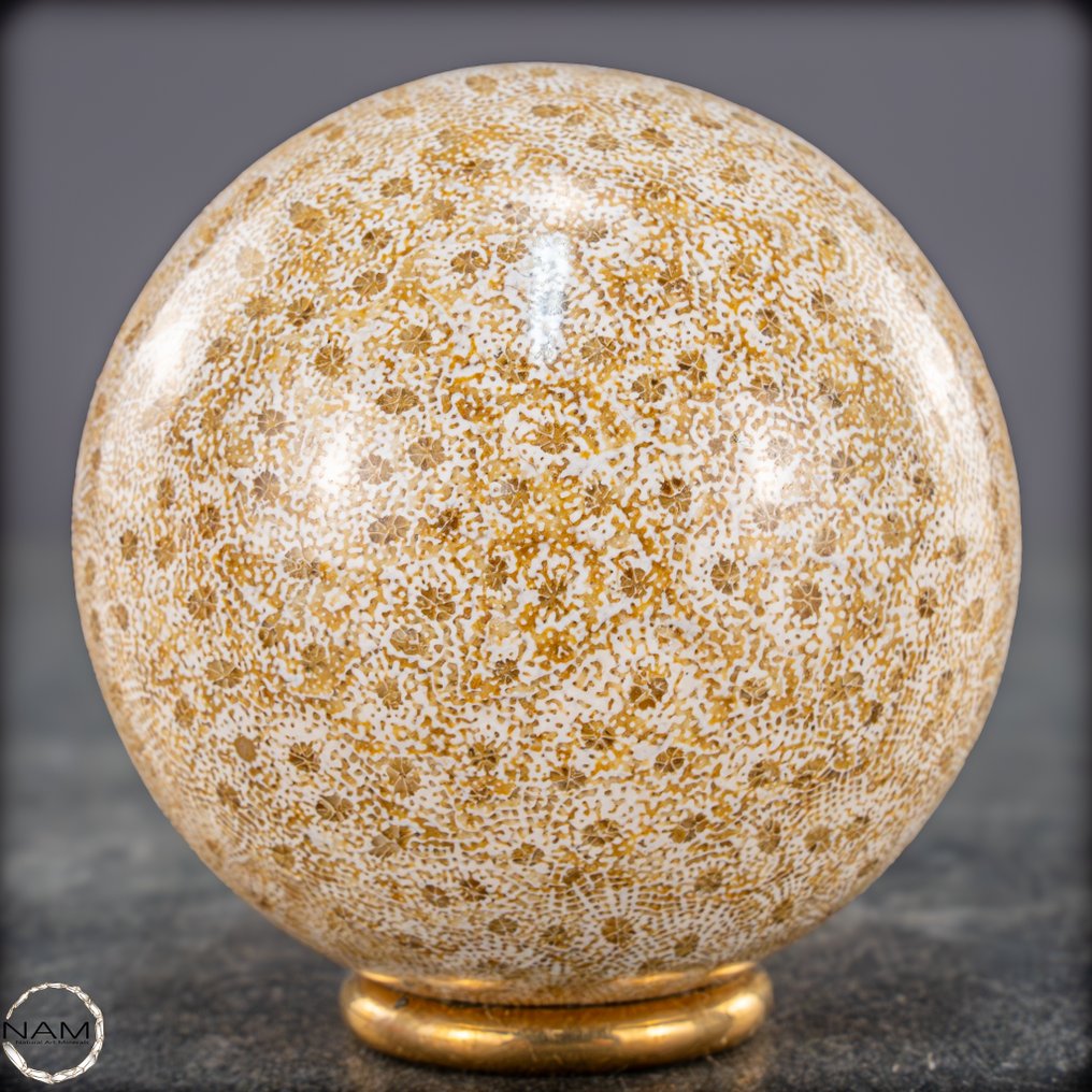 Extremely Rare Natural  Fossil Coral Sphere, Austalia- 294.66 g #1.0