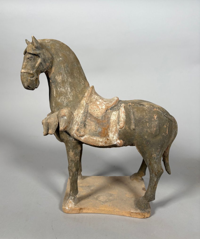 Chinois ancien, empire unifié des Tang Terre cuite cheval Mingqi - 32 cm #2.1