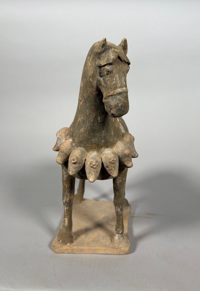 Chinois ancien, empire unifié des Tang Terre cuite cheval Mingqi - 32 cm #3.2