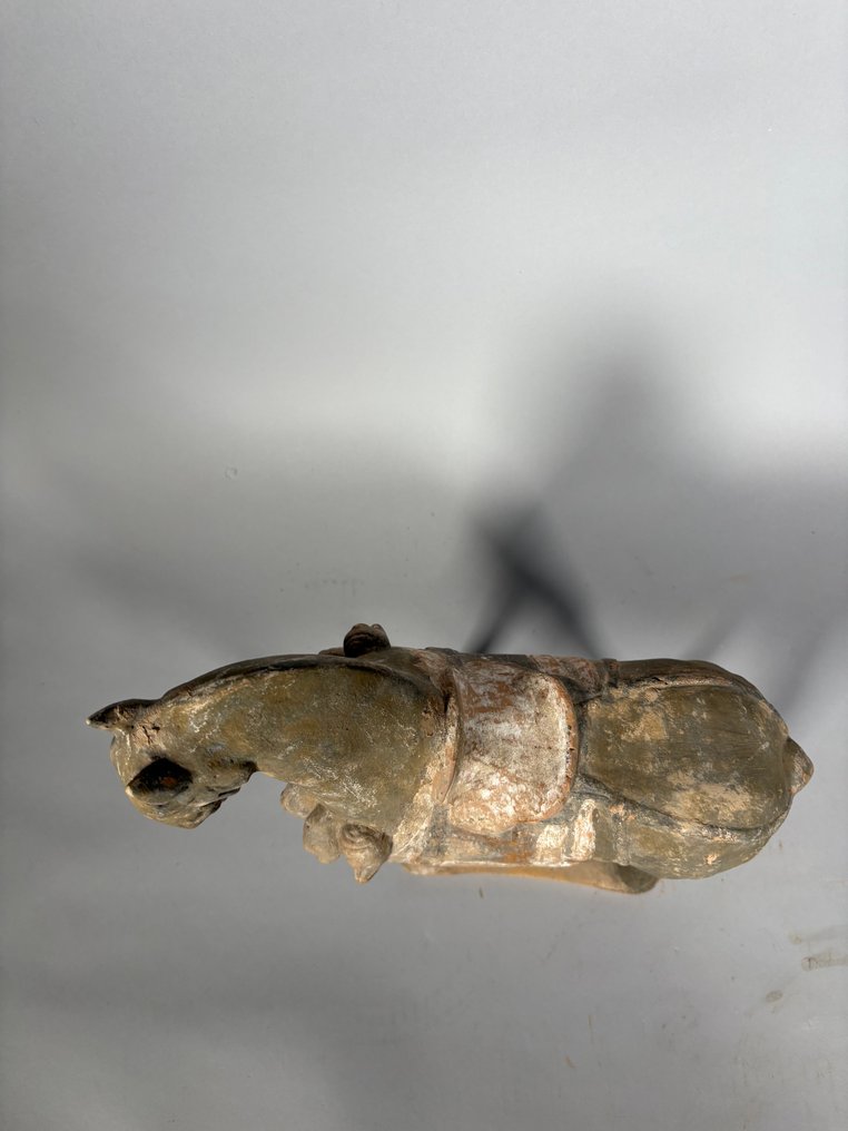 Chinois ancien, empire unifié des Tang Terre cuite cheval Mingqi - 32 cm #4.3