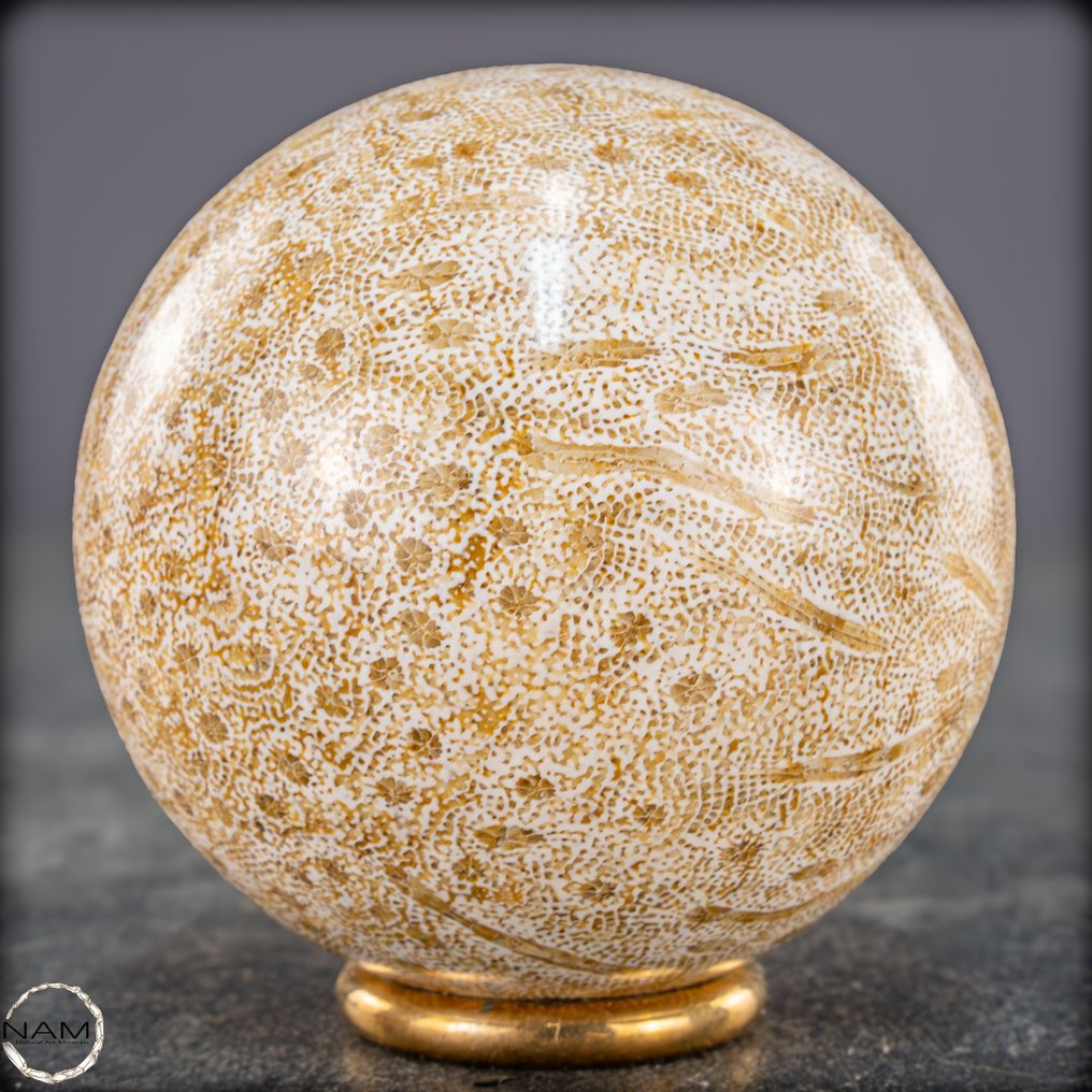 Extremely Rare Natural  Fossil Coral Sphere, Austalia- 294.66 g #2.1