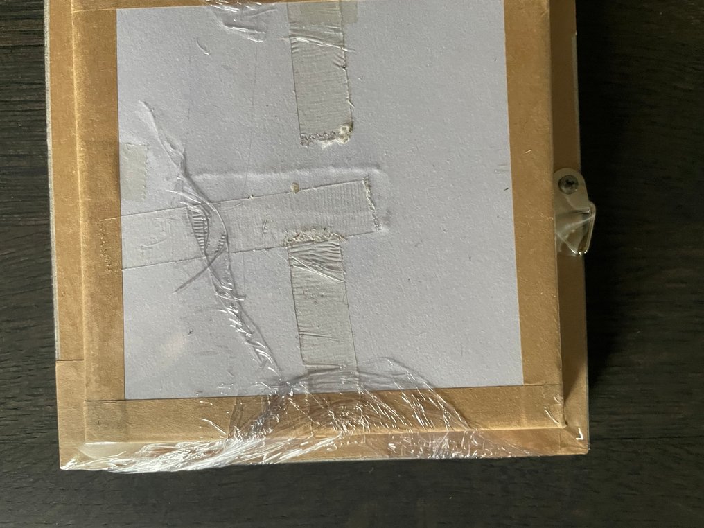 蝴蝶 动物标本剥制全身支架 - Charaxes smaragdalis - 12 cm - 12 cm - 1 cm - 非《濒危物种公约》物种 - 1 #1.0