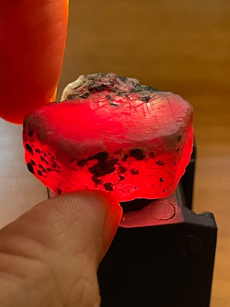 Ruby 真实宝石！令人惊叹的118克拉莫桑比克巨大血红宝石。宏伟的水晶。天然，100%特别。 - 高度: 28 mm - 闊度: 28 mm- 23.6 g #1.0