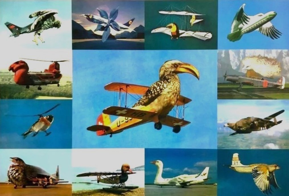 Martin Schwarz (1946) - Vogelflieger #1.0