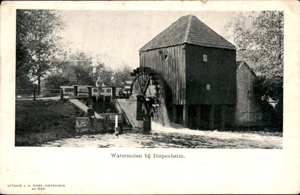 Paesi Bassi - Molen/Molens, Mulini a vento, Mulini ad acqua - Cartolina (117) - 1915-1980 #4.3