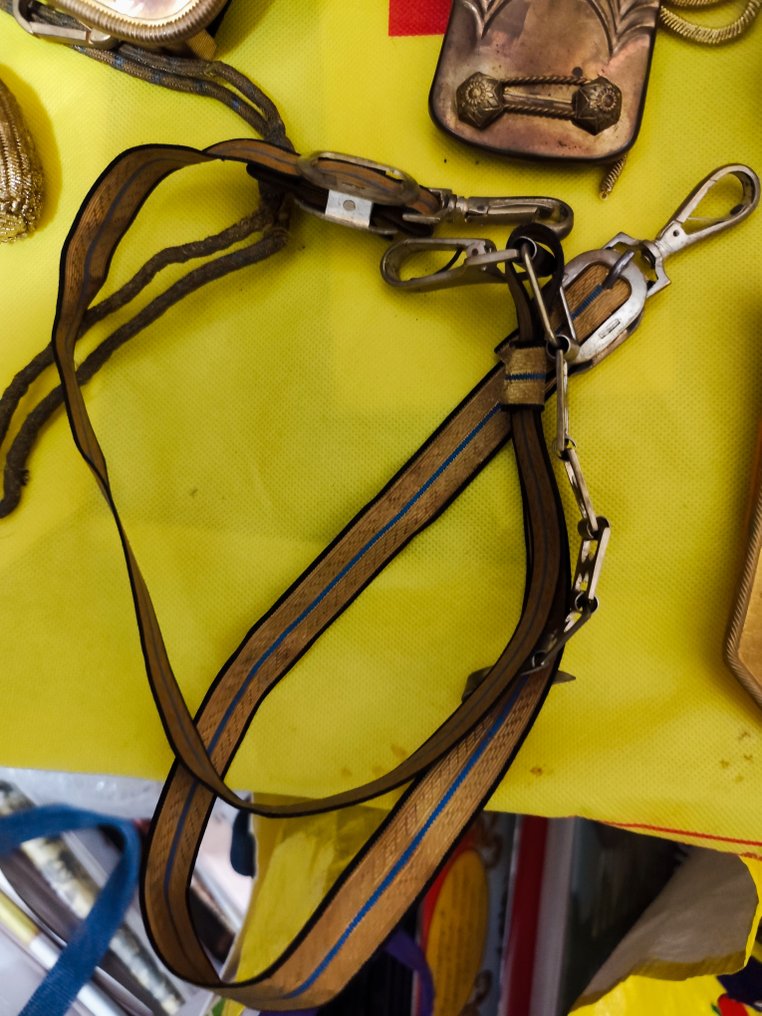 義大利 - 高级制服徽章由高级军官佩戴。 - 軍用配件 #4.3