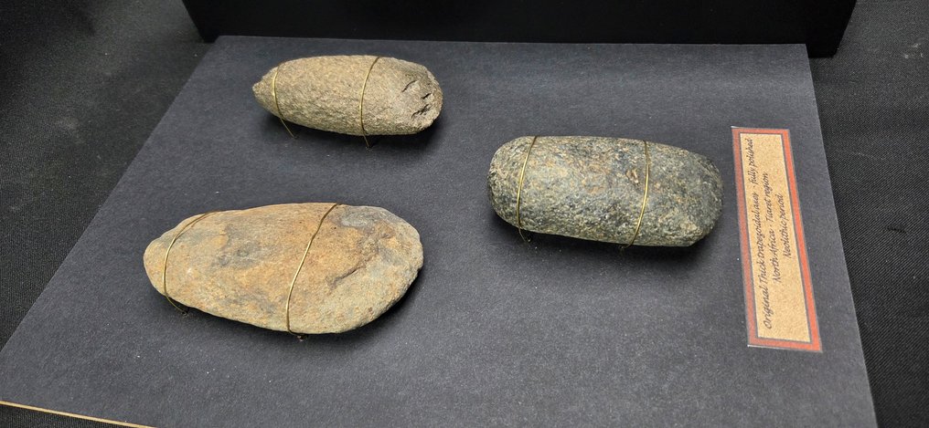 新石器時代 来自北非的新石器时代三件非常美丽的抛光斧，内部木材、玻璃、农场 #2.1