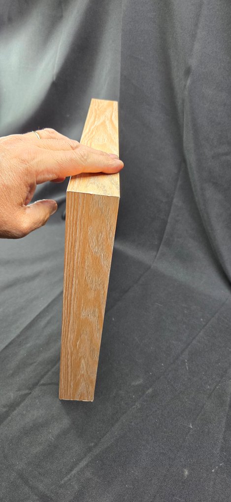 Fabulous and rare collection of sea shell opercula from around the world - Diorama - 1990-2000 #2.1