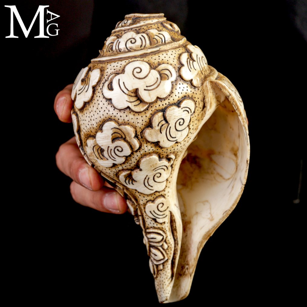 Antiikki hindulainen Shankha-savi - käsin kaiverrettu Simpukankuoret - Old Tibetan Buddhism conch inlaid Mahakala #4.3