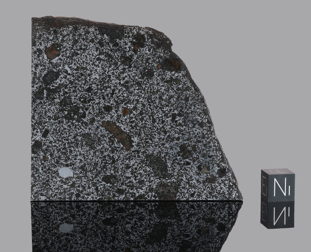 Meteoriten-Mesosiderit TANEZROUFT 091 Scheibe - 50.32 g - (1) #1.0