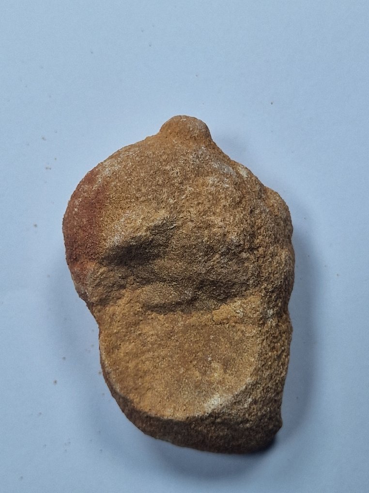 Fossil - Fossilt fragment - stromatolite - 60 mm - 45 mm  (Utan reservationspris) #2.1