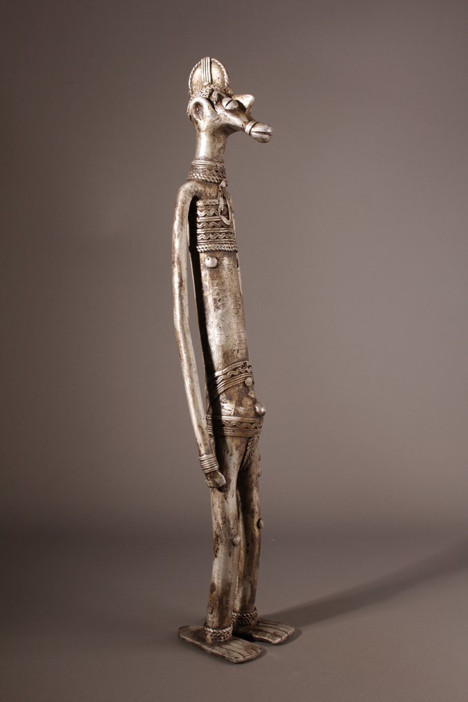 身高 54cm - Koulango - 布基纳法索 #2.1