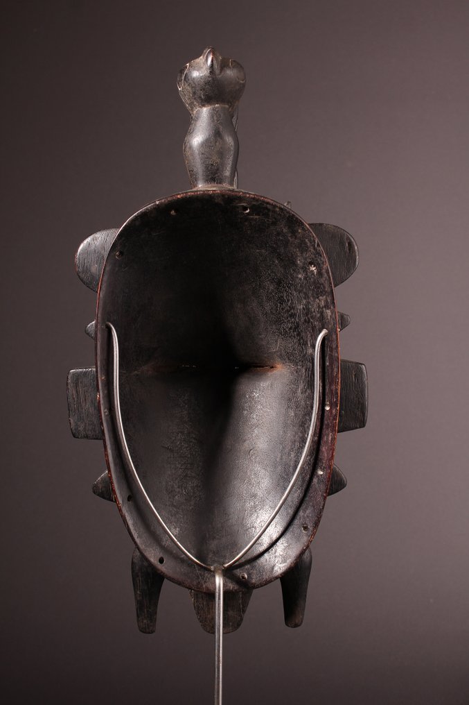 Mask - Senufo - 科特迪瓦共和国 - Kepelie Maske #4.3
