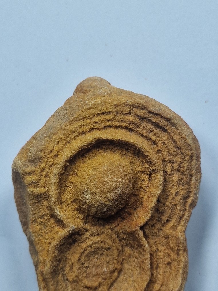 Fossil - Fossilt fragment - stromatolite - 60 mm - 45 mm  (Utan reservationspris) #1.0