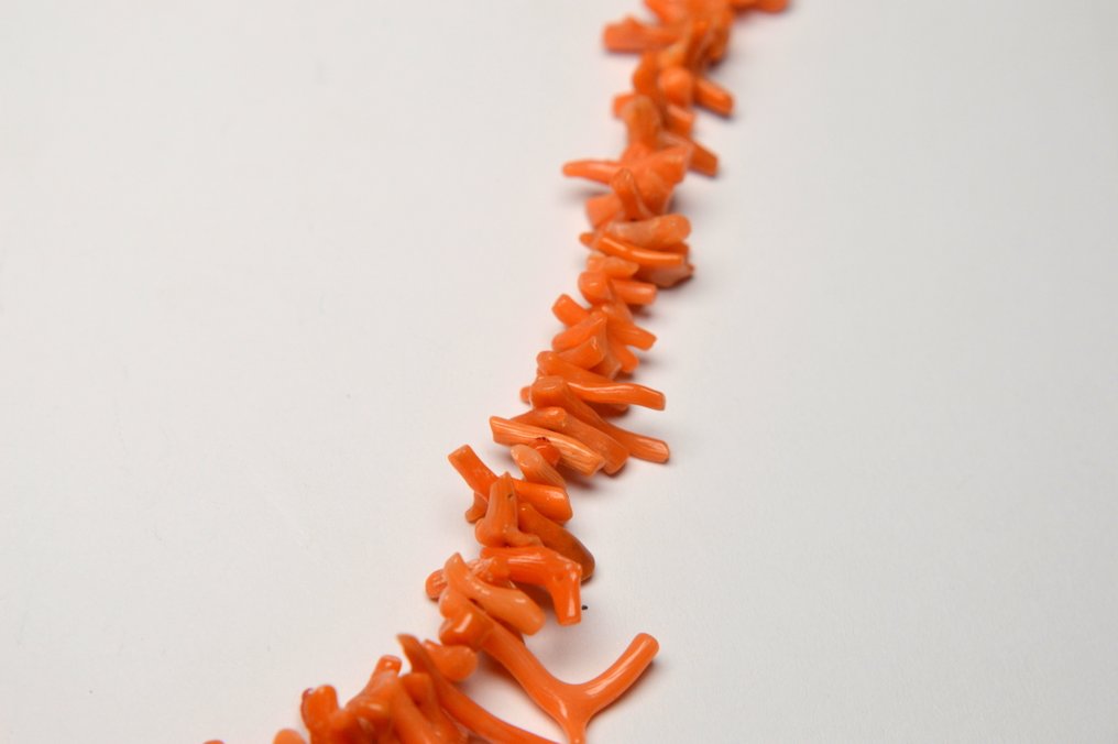 Corallo - Corallo - Collana - Sardo #2.1