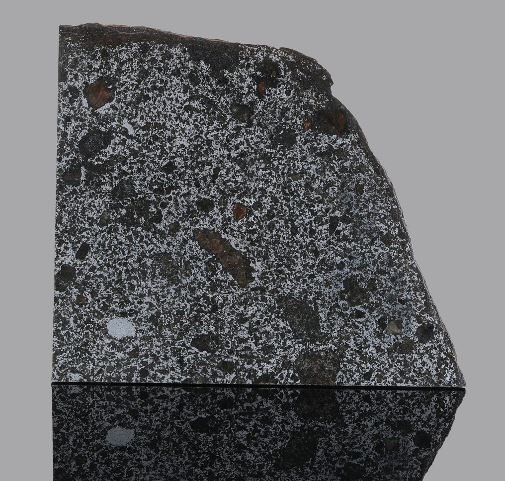 Meteoriten-Mesosiderit TANEZROUFT 091 Scheibe - 50.32 g - (1) #1.0