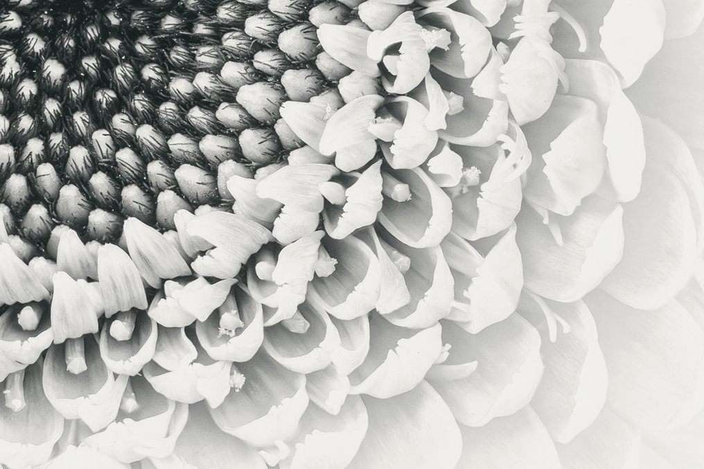 Inna Etuvgi - The Whisper #4.3