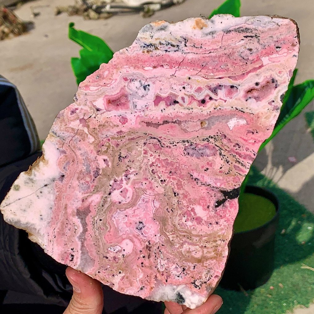 Rhodonite Slice - Height: 20 cm - Width: 14 cm- 598 g #1.0