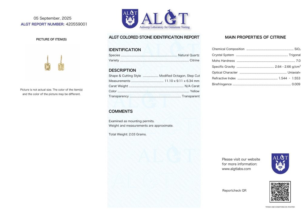 没有保留价 - 耳环 - 18K包金 黄金 黄水晶 - ALGT 认证 #2.1