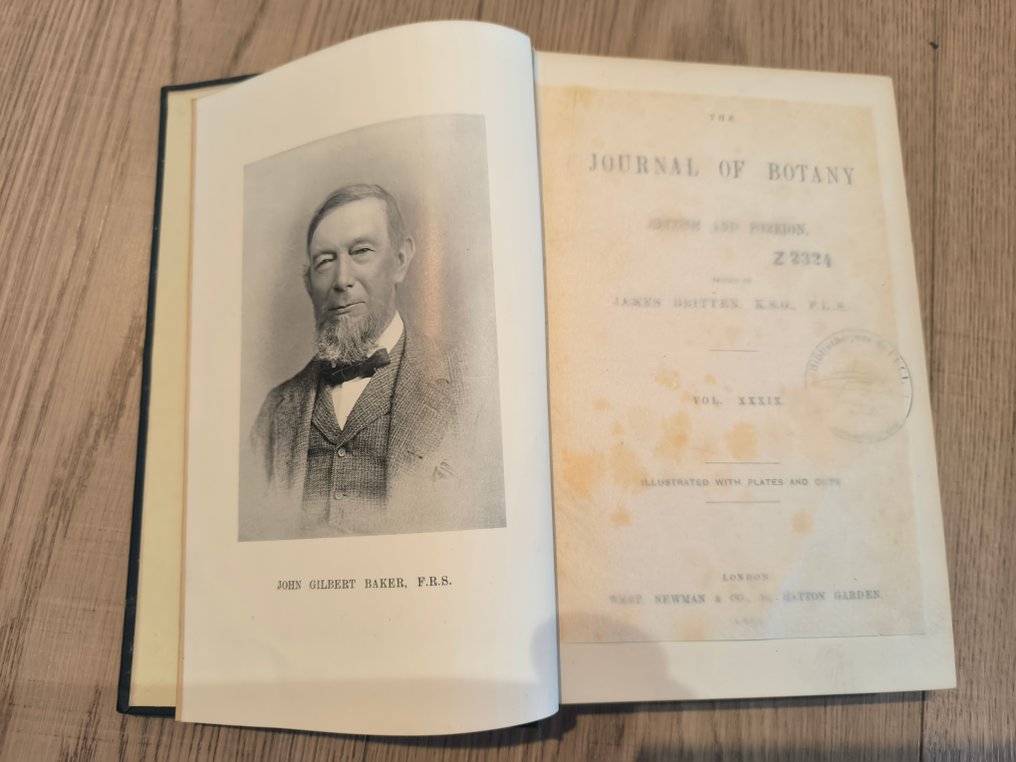 James Britten - The Journal of Botany British and Foreign - 1891-1911 #2.1