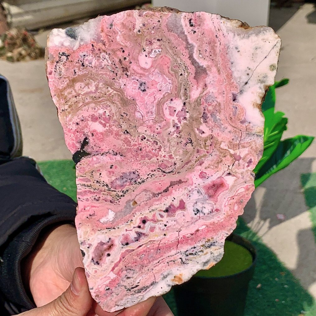 Rhodonite Slice - Height: 20 cm - Width: 14 cm- 598 g #1.0