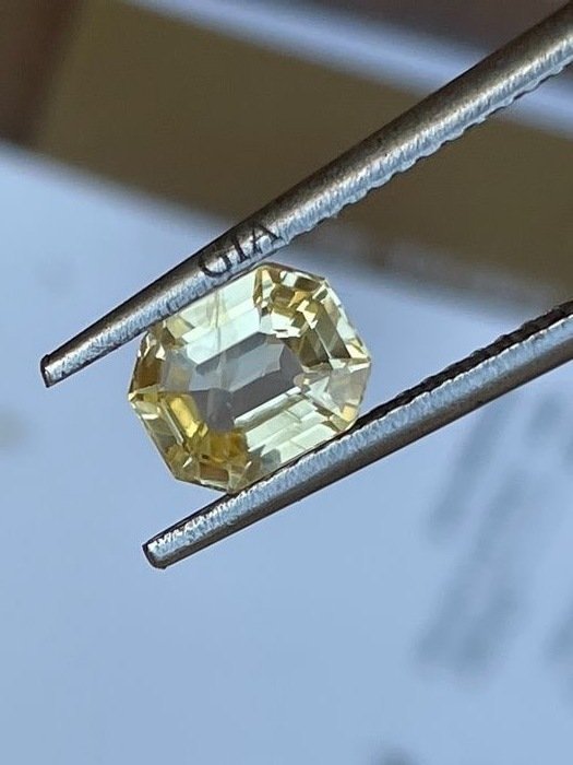 Sans prix de réserve - 1 pcs  Jaune Saphir  - 1.34 ct - Gemological Institute of America (GIA) #1.0