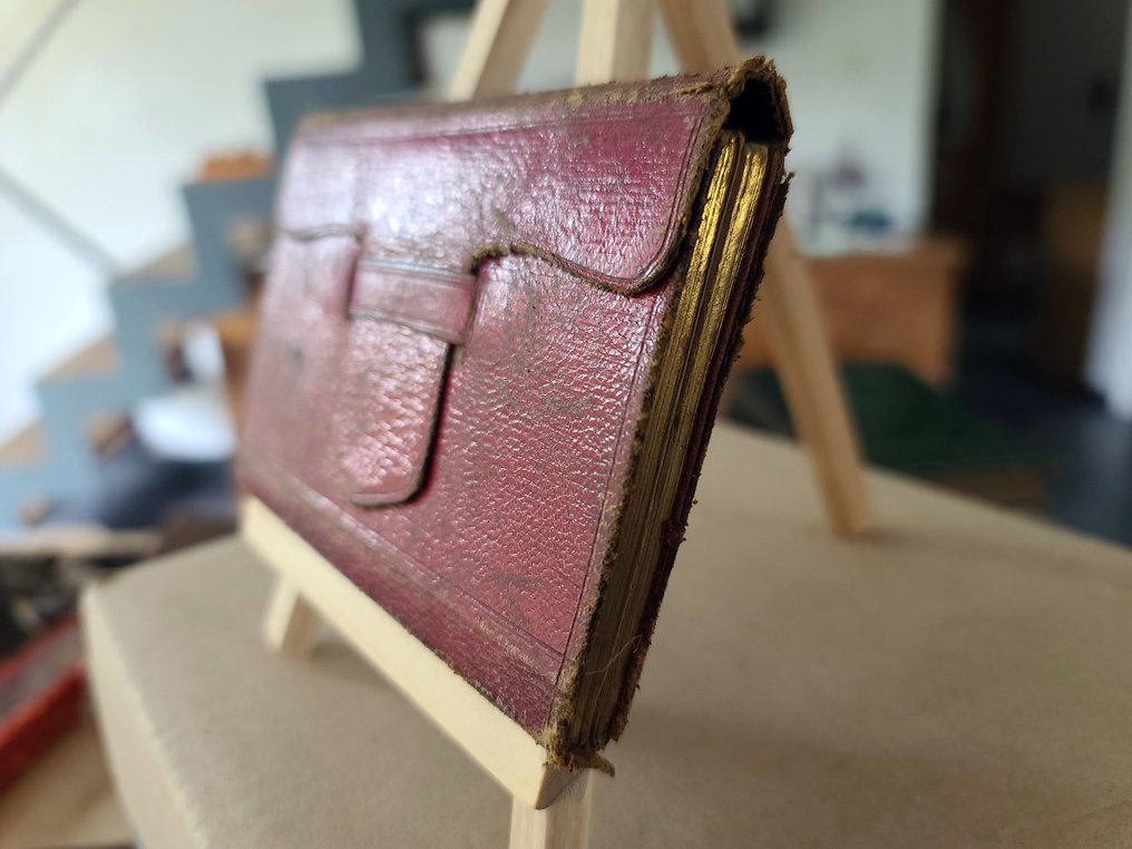 Haddock à Ipswich - Pawsey's Ladies Fashionable Repository - 1865 #1.0