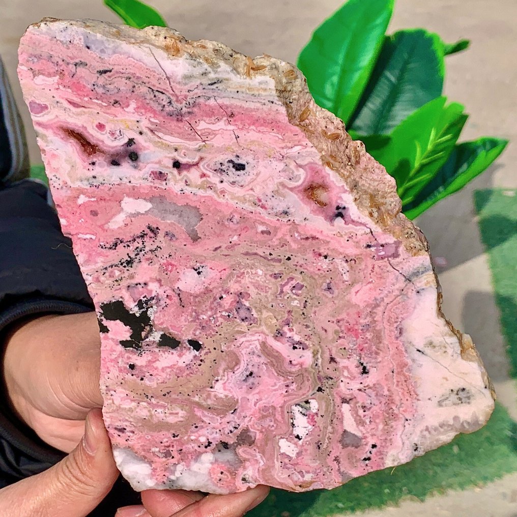 Rhodonite Slice - Height: 20 cm - Width: 14 cm- 598 g #4.3