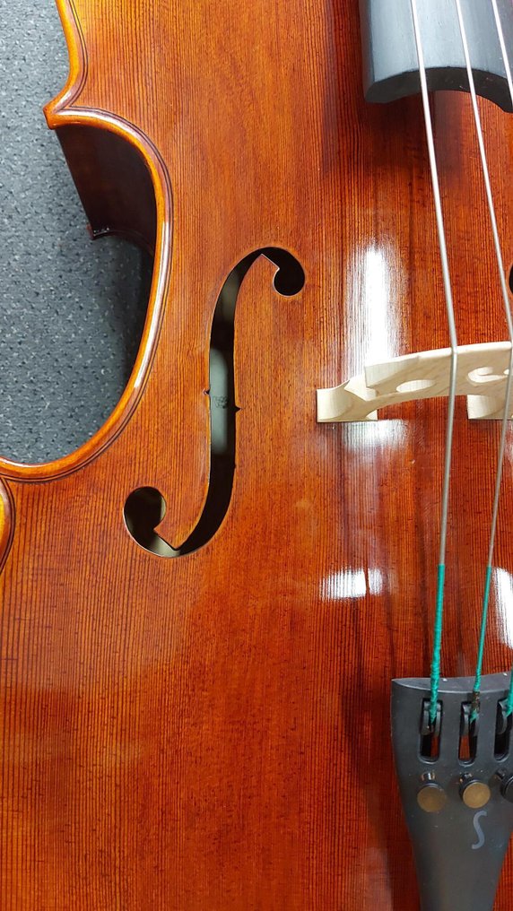 Stentor - 4/4, ProSeries handmade Arcadia met strijkstok en koffer - - Cello #1.0