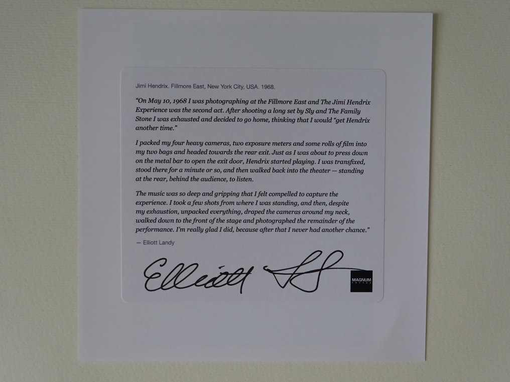 Elliott Landy (1942) - Jimi Hendrix #4.3