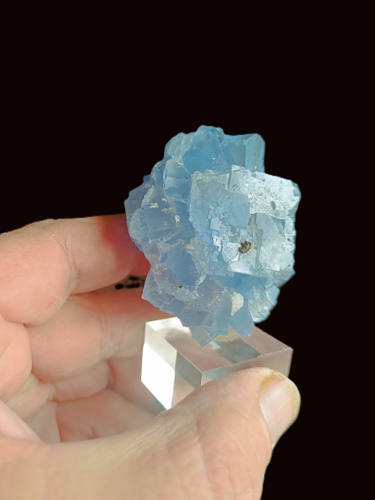 fluorine at Burc France Crystals on matrix - Height: 6 cm - Width: 5 cm- 62 g - (1) #1.0