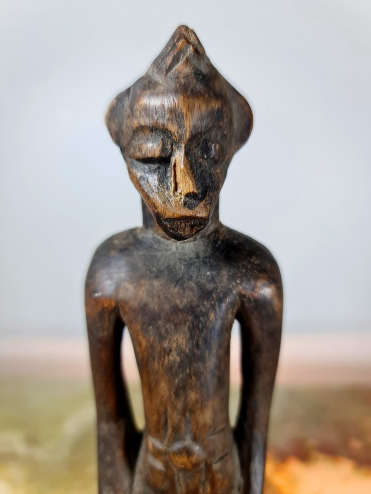 Ahnenfigur - Senufo - Elfenbeinküste - Statuette Deblé  (Ohne mindestpreis) #2.1