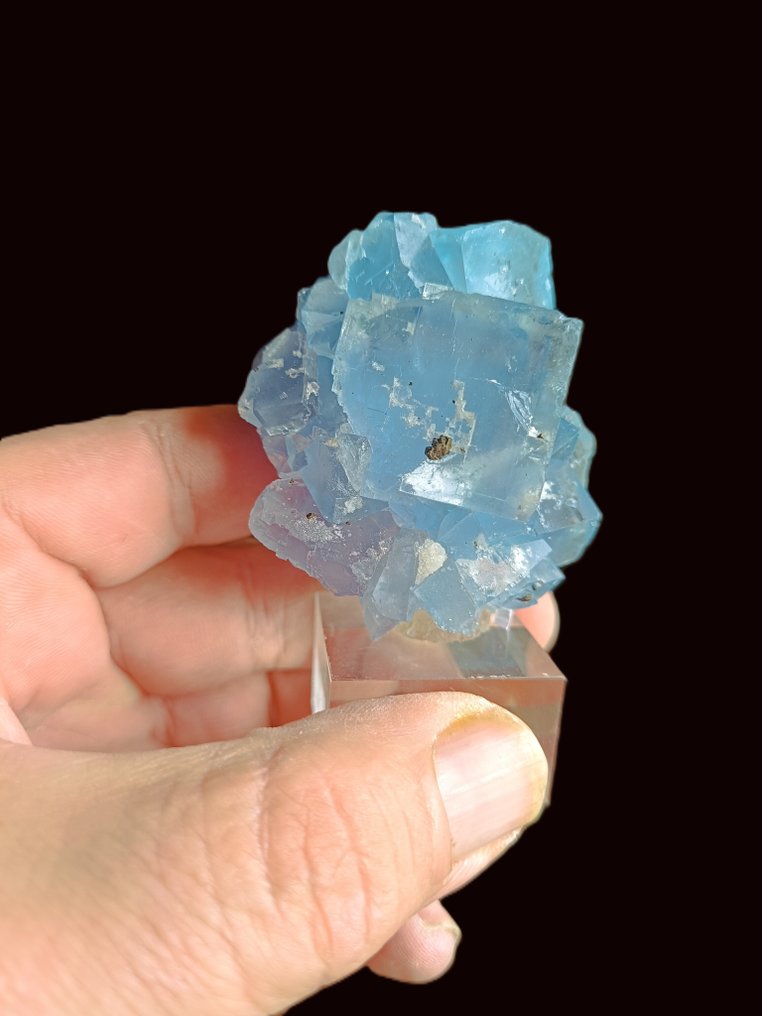 fluorine at Burc France Crystals on matrix - Height: 6 cm - Width: 5 cm- 62 g - (1) #3.2