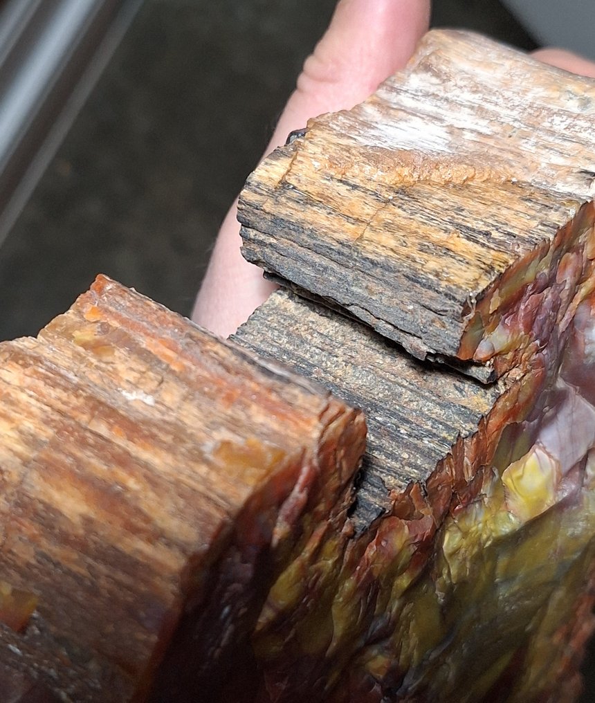 Sjældent stort fossilisert og agatiseret træ. Fluorescerende - Højde: 25 cm - Bredde: 23 cm- 5178 g #4.3