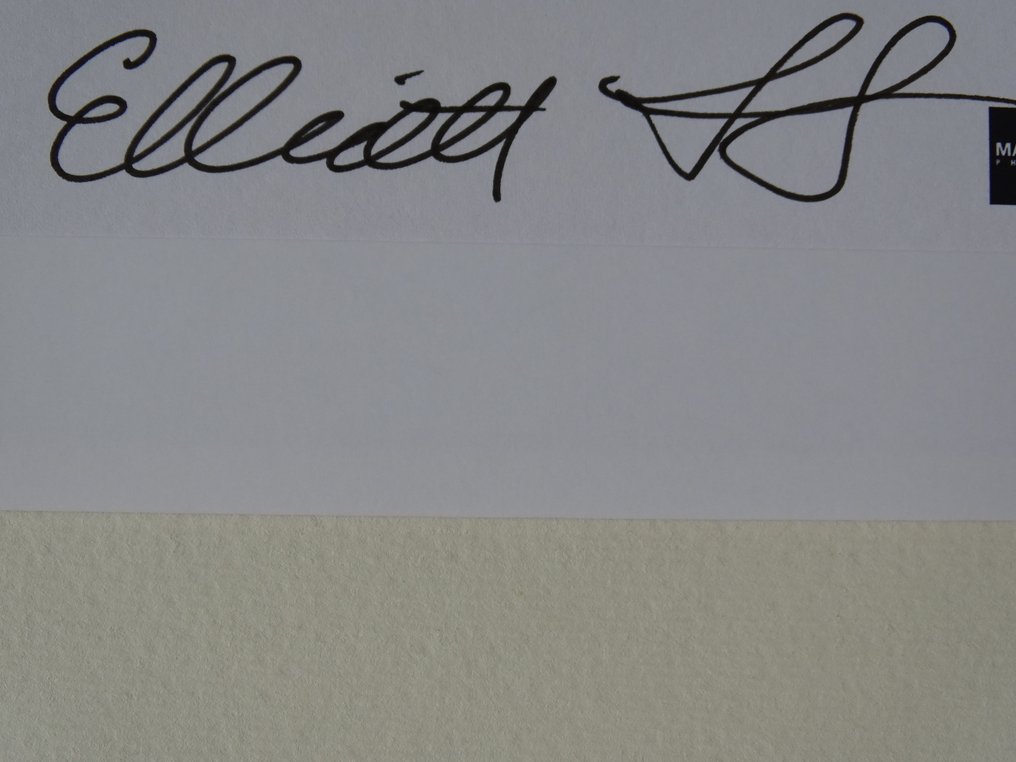 Elliott Landy (1942) - Jimi Hendrix #1.0