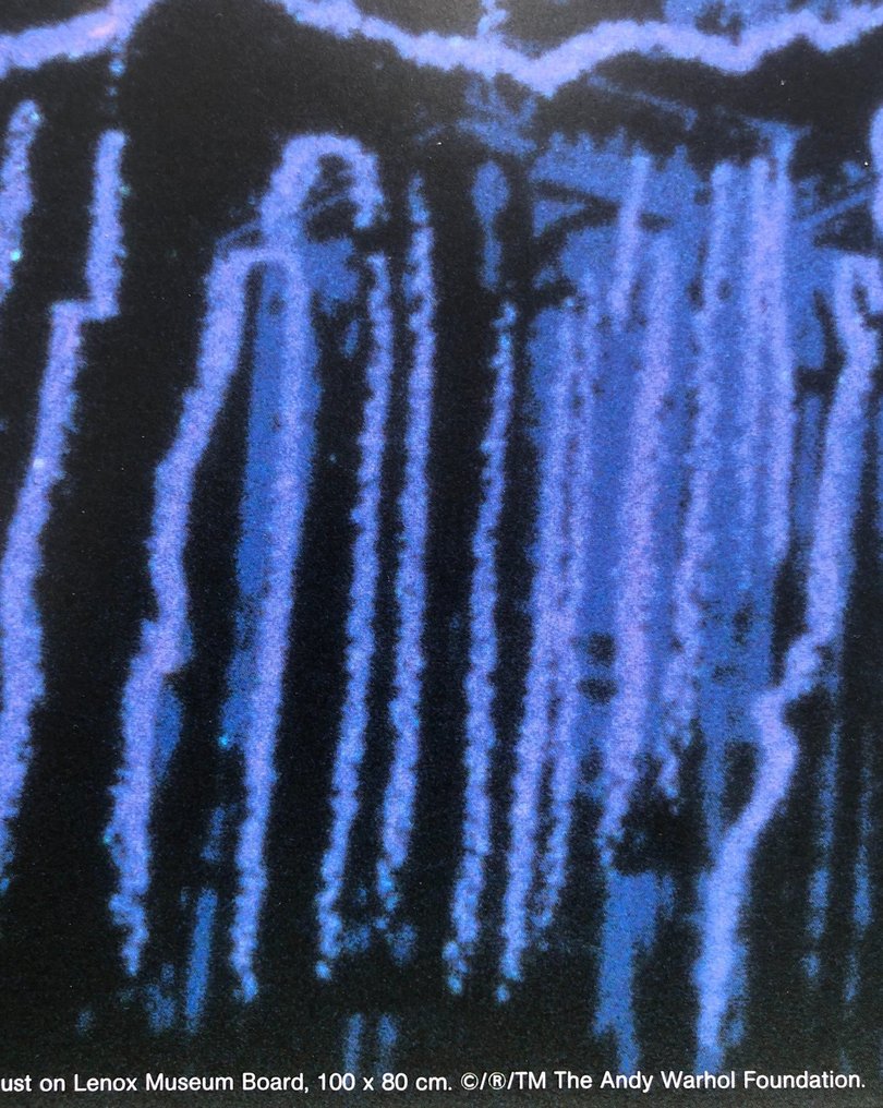 Andy Warhol - Andy Warhol - Cologne Cathedral (blue) - TeNeues licensed print 1995 #4.3