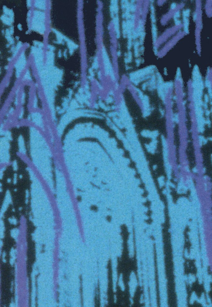 Andy Warhol - Andy Warhol - Cologne Cathedral (blue) - TeNeues licensed print 1995 #3.2