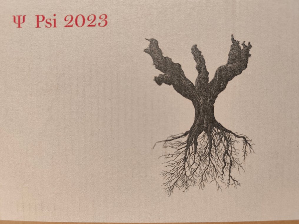 2023 Dominio de Pingus, PSI - Ribera del Duero - 6 Botellas (0,75 L) #2.1