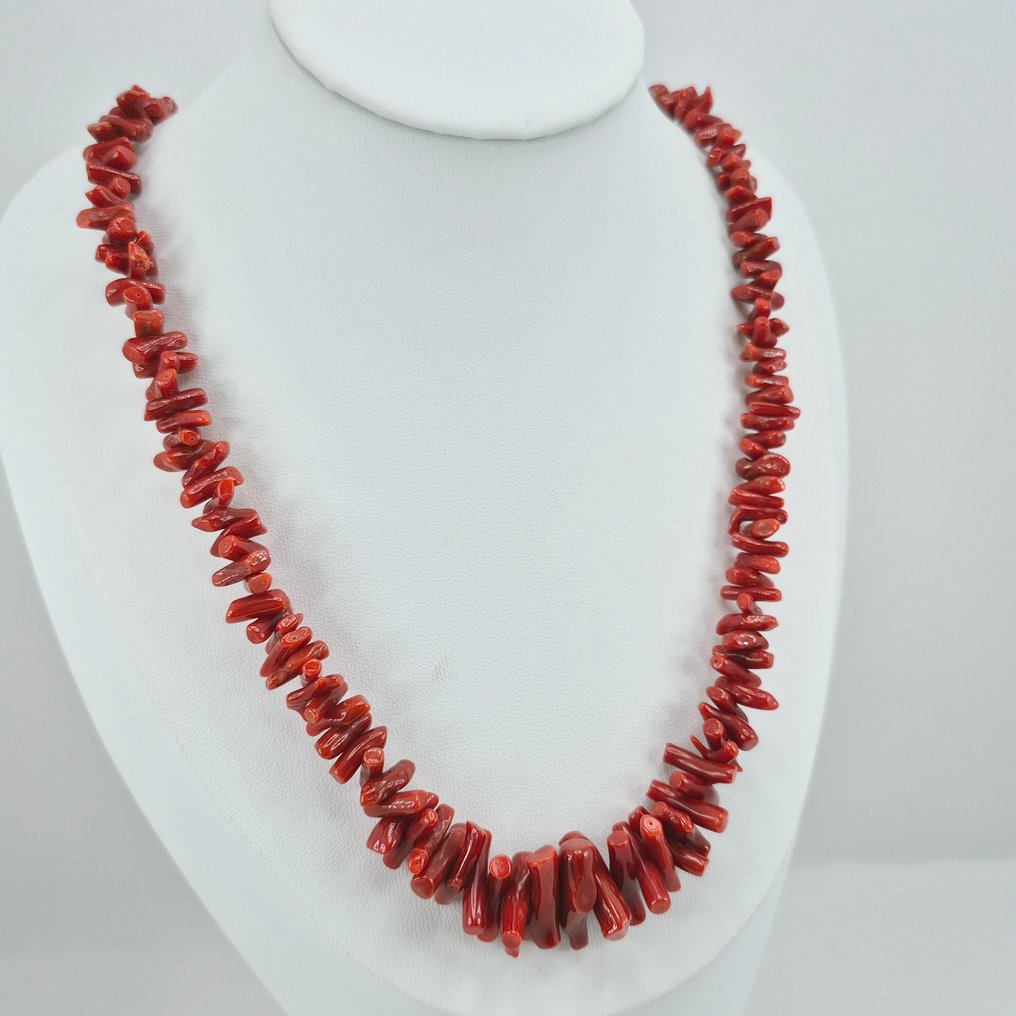 Corallo di sangue - Argento - Collana - CORALLO MEDITERRANEO #4.3